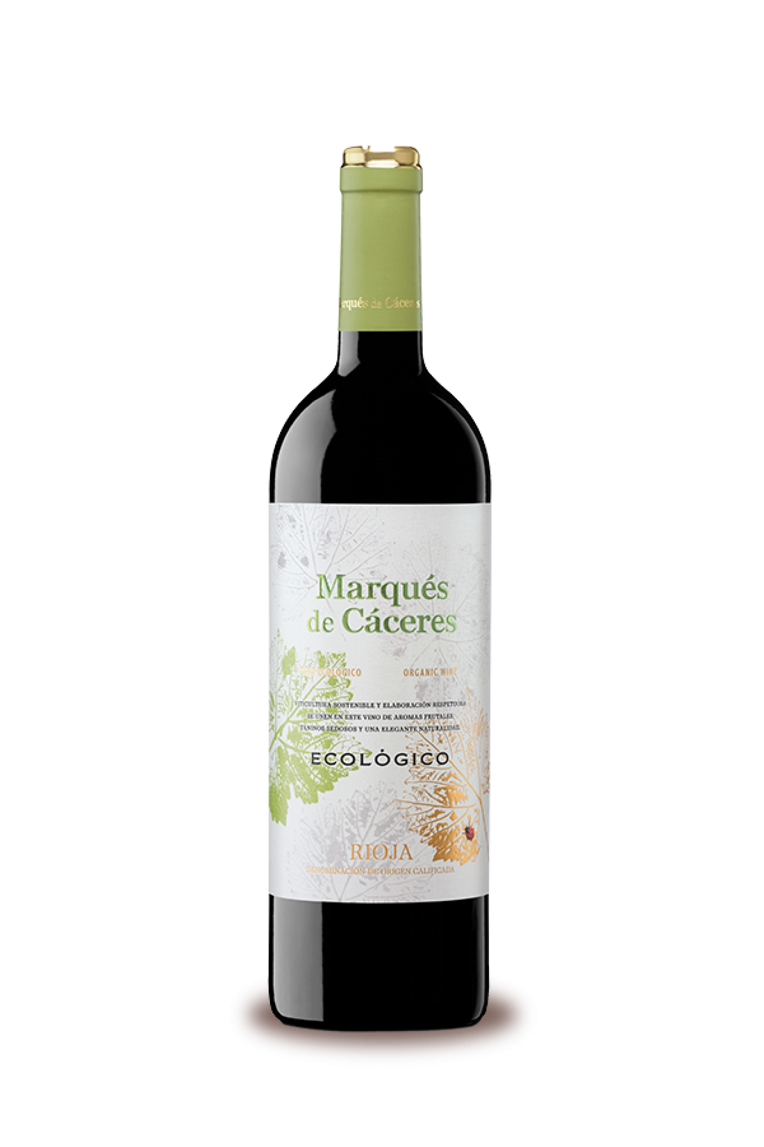 Vino Ecológico Bio (vin organique)