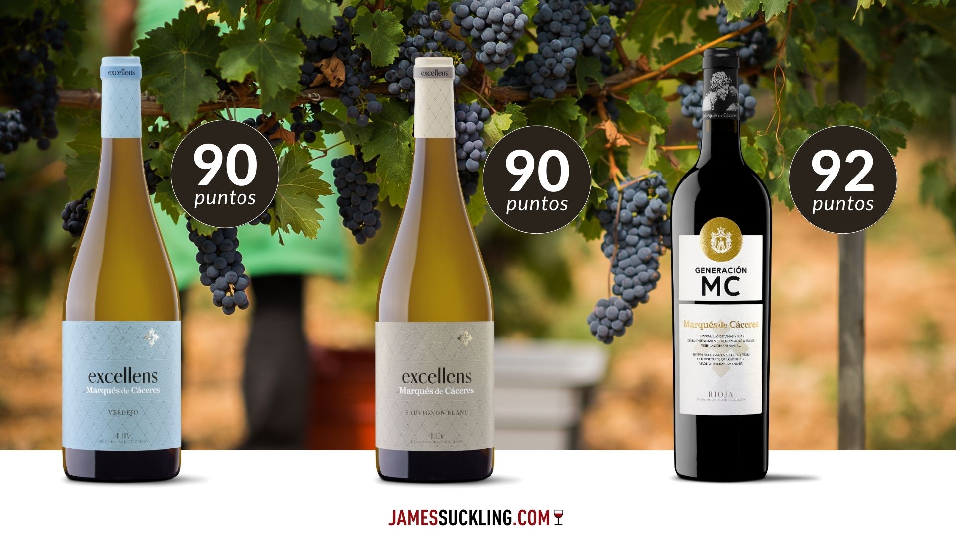 Marqués de Cáceres, puntuaciones James Suckling