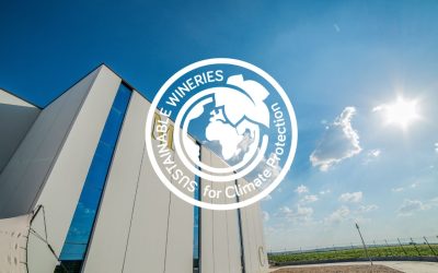 Our winery in Rueda obtains the SWFCP certification, reinforcing its commitment to sustainability.