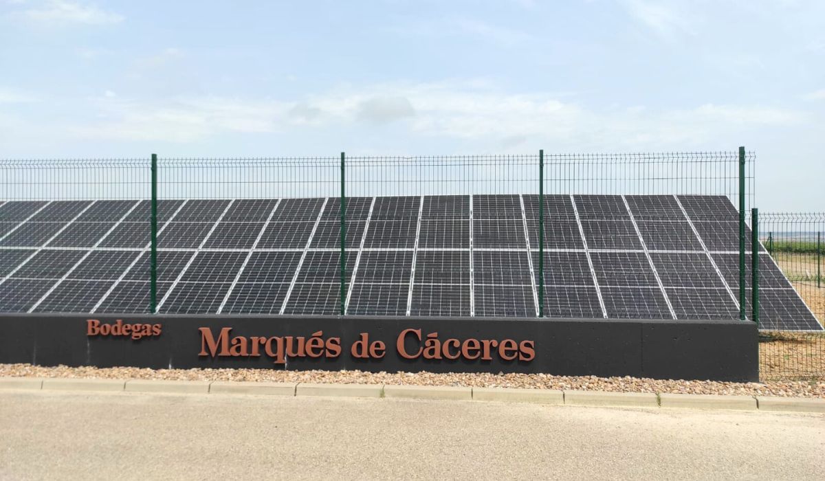 bodegas marques de caceres rueda certifica su sostenibilidad en mayo de 2025