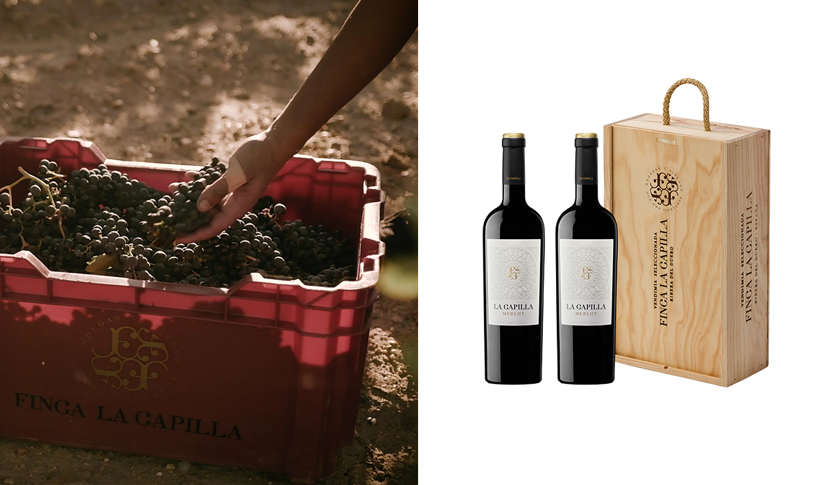 idea regalo vino merlot finca la capilla