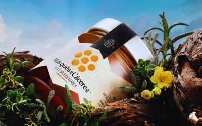 Más allá del viñedo: miel, biodiversidad y compromiso sostenible